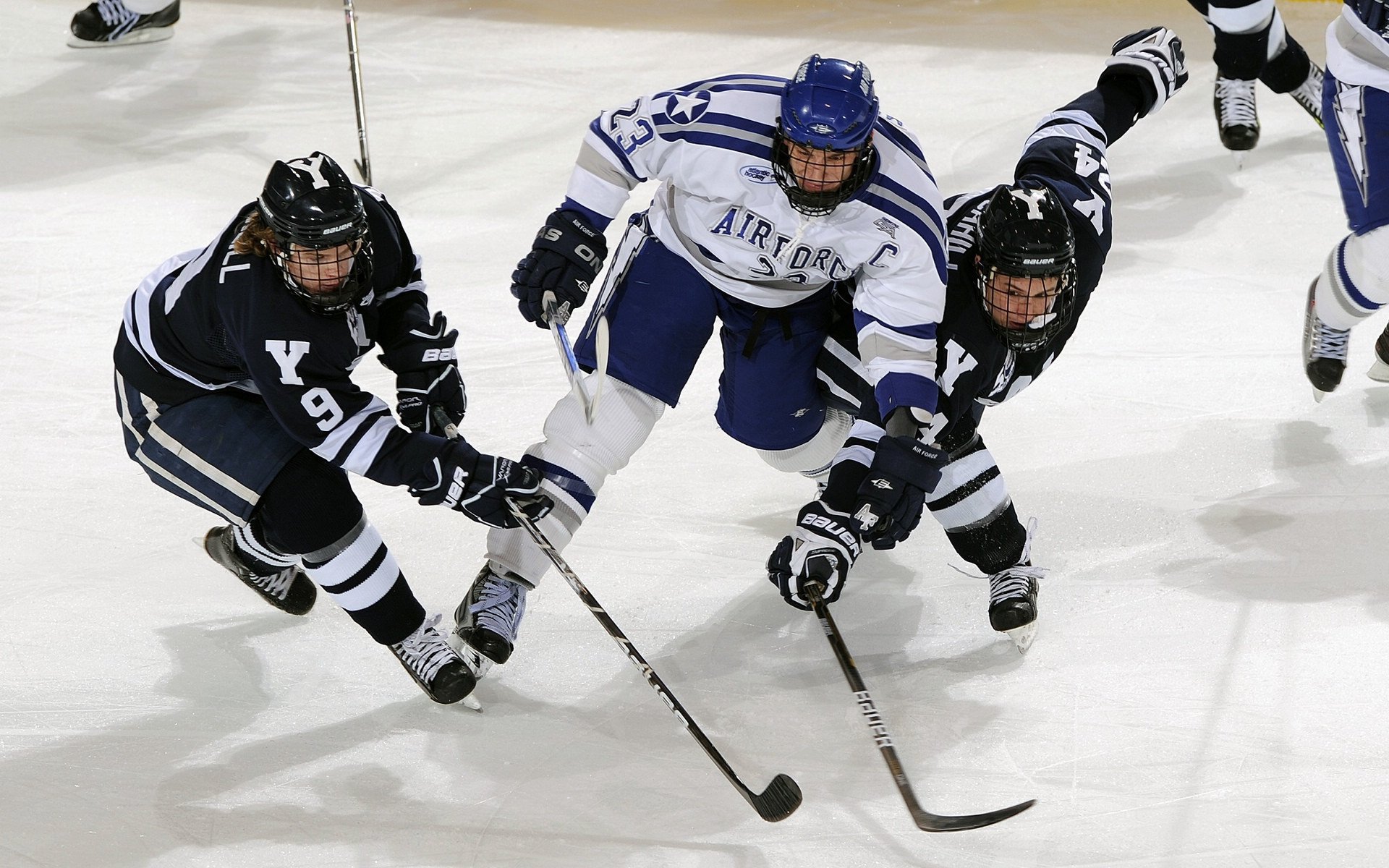范弗利特锁死雄鹿动脉，老鹰用节奏掌控拆解卫冕冠军
